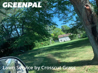 Grass Cut nearby Clinton Township, MI, 
