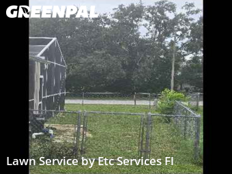 Lawn Management in Bayonet Point, 34668, Turf Services by Etc Services Fl, work completed in Nov , 2025