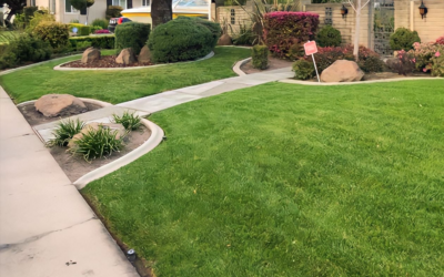 Local Lawn care service near me in Salem, UT, 84653