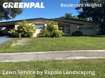 Backyard Landscaping In Hollywood,33024,Landscaping Renovation by Rapalo Landscaping, work completed in Oct , 2025