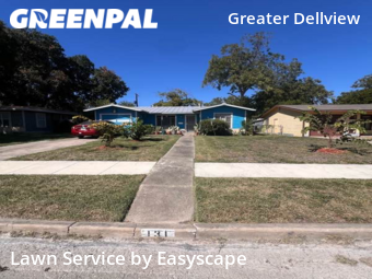 Yard Cutting nearby San Antonio, TX, 