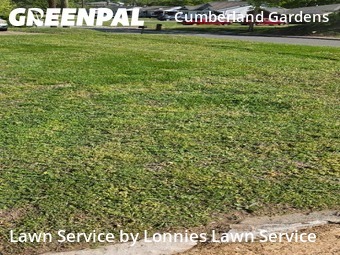 Lawn Mow nearby Nashville, TN, 