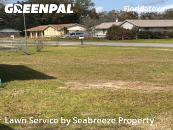Grass Cut nearby Pace, FL, 