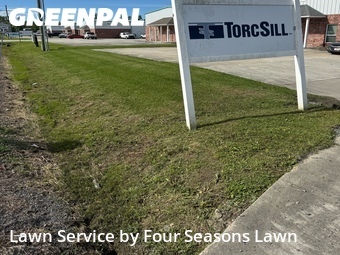 Yard Mowing nearby Gonzales, LA, 