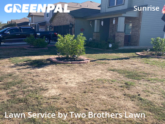 Lawn Cutting nearby San Antonio, TX, 