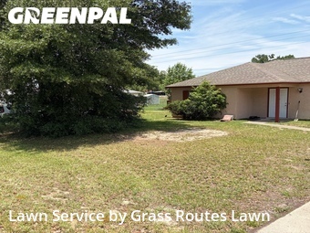 Grass Cut nearby Silver Springs Shores, FL, 