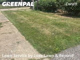 Landscape Design In Cleveland,44120,Landscapers by Luxe Lawn & Beyond, work completed in Jul , 2026