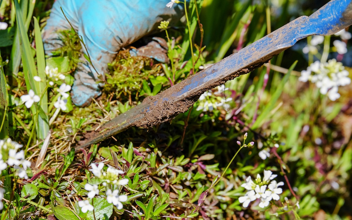 Work Image 4