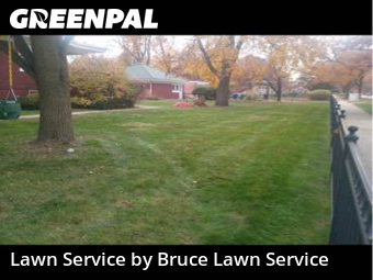 Yard Cutting nearby Oak Park, IL, 