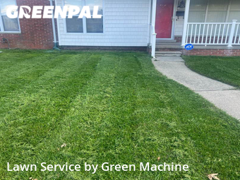 Yard Cutting nearby Roseville, MI, 