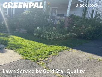 Lawn Maintenance in Bridgeport, 6605, Backyard Mowing by Gold Star Quality , work completed in Nov , 2025