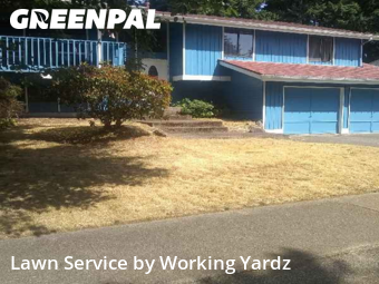 Lawn Services in Federal Way, 98003, Turf Services by Working Yardz, work completed in Aug , 2025