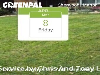 Lawn Mowing Service nearby Stockton, CA, 