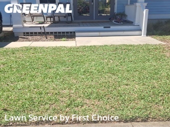 Grass Cutting nearby St. Augustine, FL, 