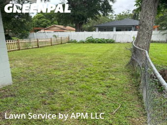 Grass Cutting nearby Kissimmee, FL, 