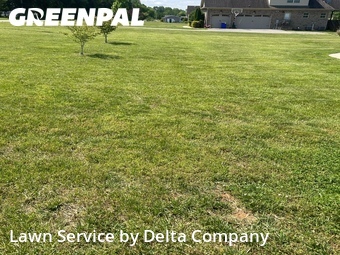 Grass Cutting nearby Bowling Green, KY, 