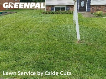 Lawn Cut nearby Pittsburgh, PA, 