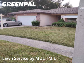 Lawn Cutting nearby Palm Harbor, FL, 