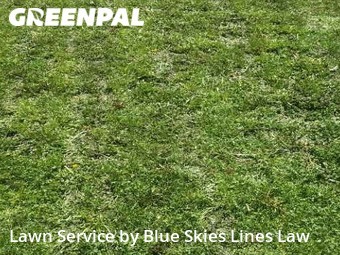 Yard Cutting nearby Fargo, MN, 