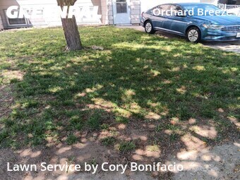 Grass Cut nearby Wichita, KS, 