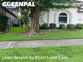 Lawn Mow nearby Missouri City, TX, 