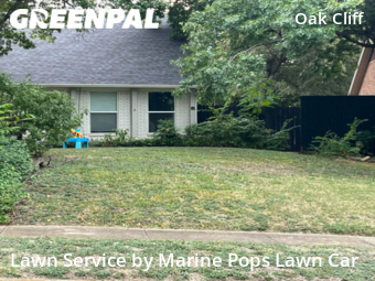 Lawn Mow nearby Dallas, TX, 