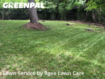 Lawn Mow nearby Rock Hill, NC, 