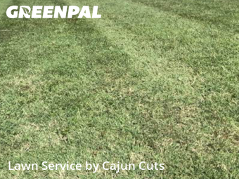 Lawn Mowing Service nearby Murfreesboro, TN, 