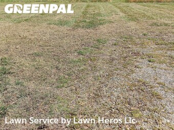Lawn Mow nearby Greensboro, NC, 