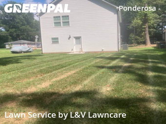 Lawn Mow nearby Charlotte, NC, 