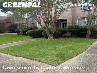 Lawn Cutting nearby San Antonio, TX, 
