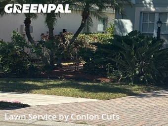 Yard Cutting nearby Lakewood Ranch, FL, 