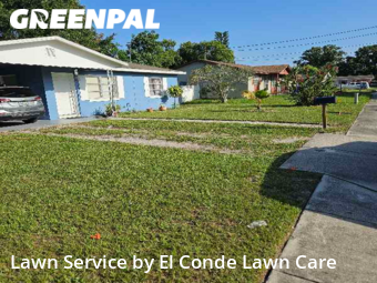 Yard Mowing nearby Kissimmee, FL, 