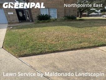 Yard Mowingin Tomball,77375,Yard Cutting by Maldonado Landscapin, work completed in Jan , 2026