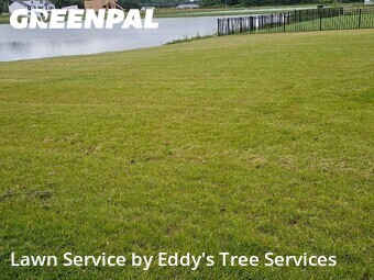 Lawn mowed in Allendale, 49401