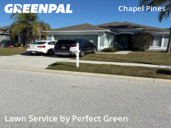 Lawn Mowing Service nearby Wesley Chapel, FL, 
