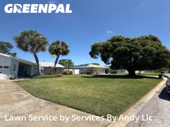 Yard Cutting nearby Largo, FL, 