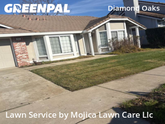 Lawn mowed in Roseville, 95678