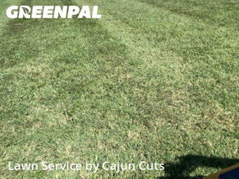 Lawn Care nearby Murfreesboro, TN, 
