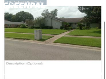 Grass Cut nearby Lafayette, LA, 