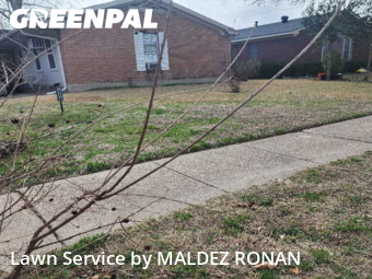Lawn mowed in Garland, 75041