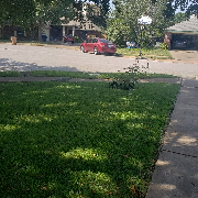 grass-cutting-businesses-in-Hutto-TX
