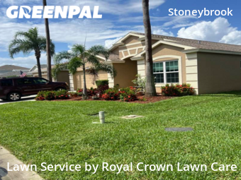 Grass Cut nearby Estero, FL, 