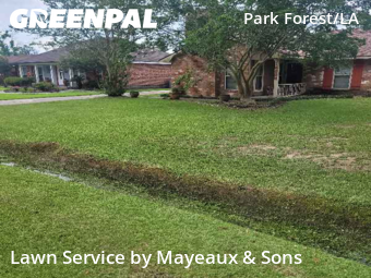 Lawn Care Service nearby Baton Rouge, LA, 