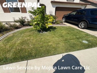 Work completed by the-yard-cutting-businesses-in-Folsom-CA