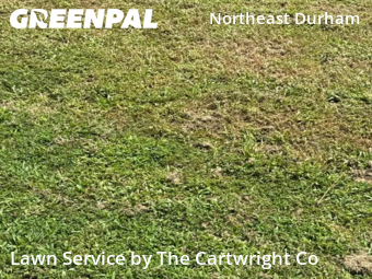 Lawn Service nearby Durham, NC, 