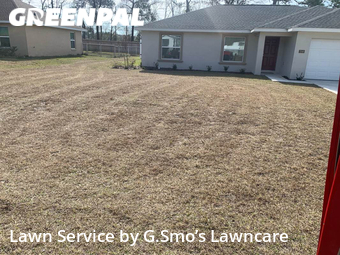 Lawn Mow nearby Ocala, FL, 
