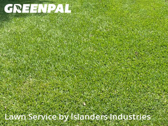 Lawn Maintenance nearby Baton Rouge, LA, 