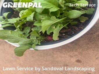 Lawn Care Service nearby Lubbock, TX, 