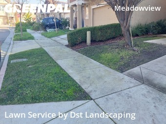 Landscaping In Sacramento,95822,Landscaping Cleanup by Dst Landscaping, work completed in Jan , 2026